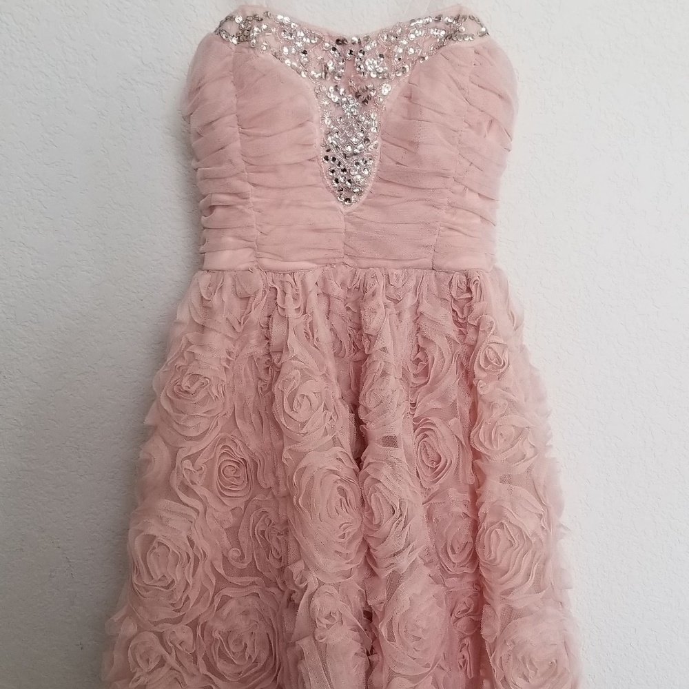 Beautiful Rose Dress